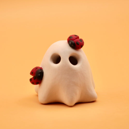 Lucky Ghost with Ladybug Friends