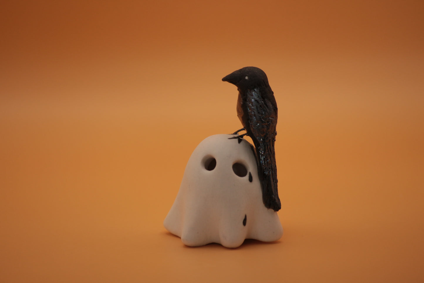 The Crow Let Me Know