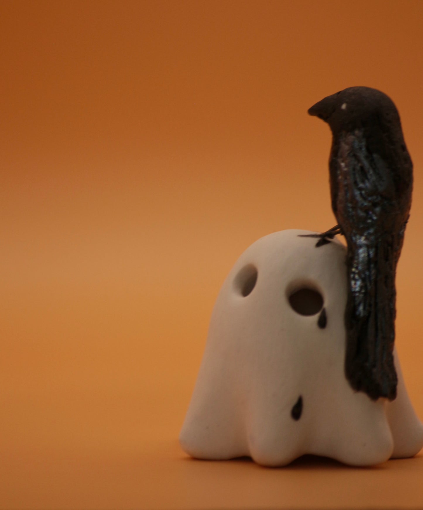 The Crow Let Me Know